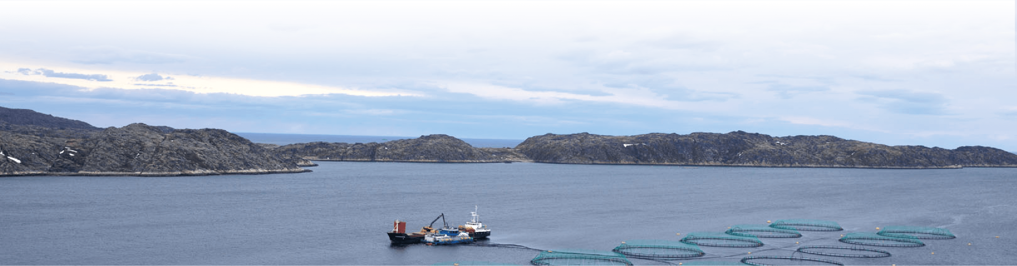 Плавучие фермы